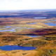 Tundra in Siberia, Wikimedia Commons